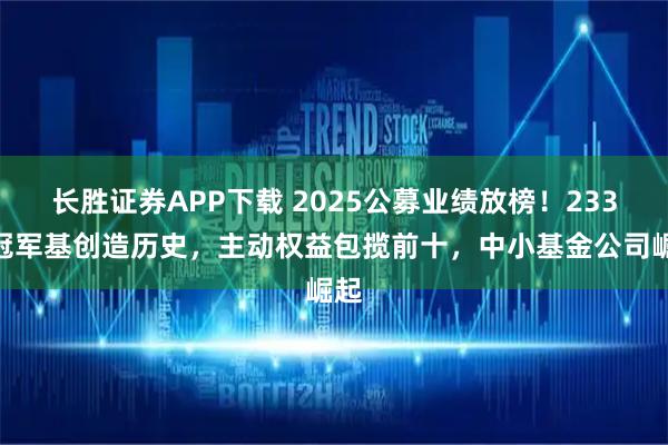长胜证券APP下载 2025公募业绩放榜!233%冠军基创造历史,主动权益包揽前十,中小基金公司崛起