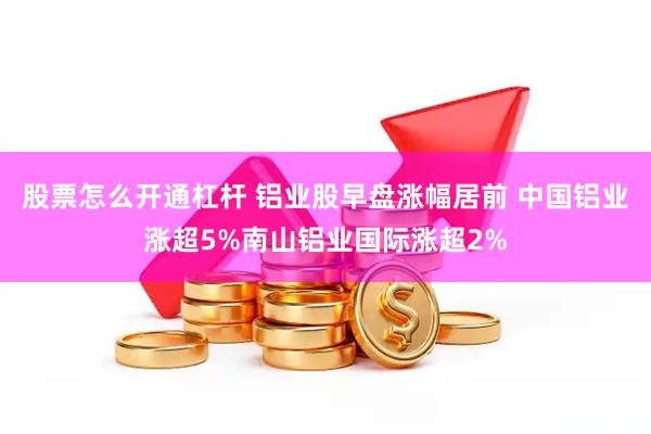 股票怎么开通杠杆 铝业股早盘涨幅居前 中国铝业涨超5%南山铝业国际涨超2%
